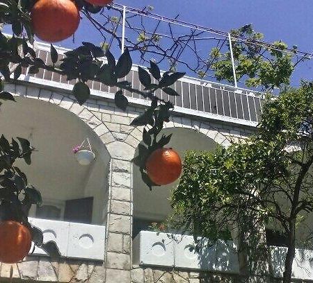 House Orange Apartments Herceg Novi Exteriér fotografie
