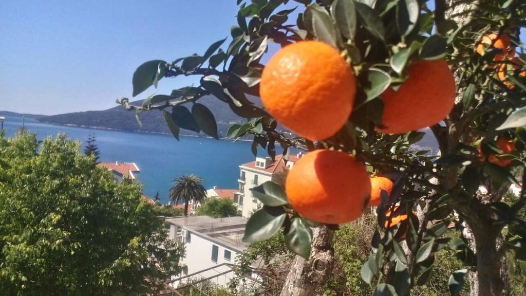 House Orange Apartments Herceg Novi Exteriér fotografie