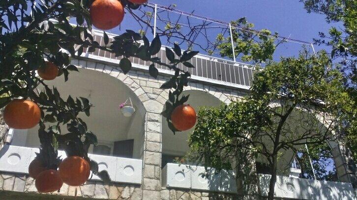 House Orange Apartments Herceg Novi Exteriér fotografie